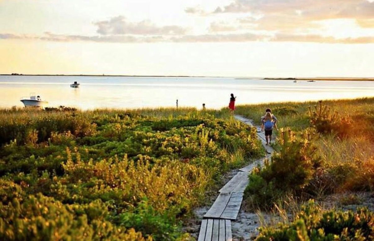 A wooden boardwalk winding through beach grass toward the water at golden hour.